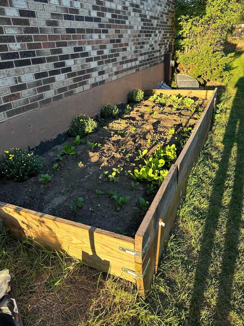 Crowded Beds Can Block Airflow And Invite Trouble