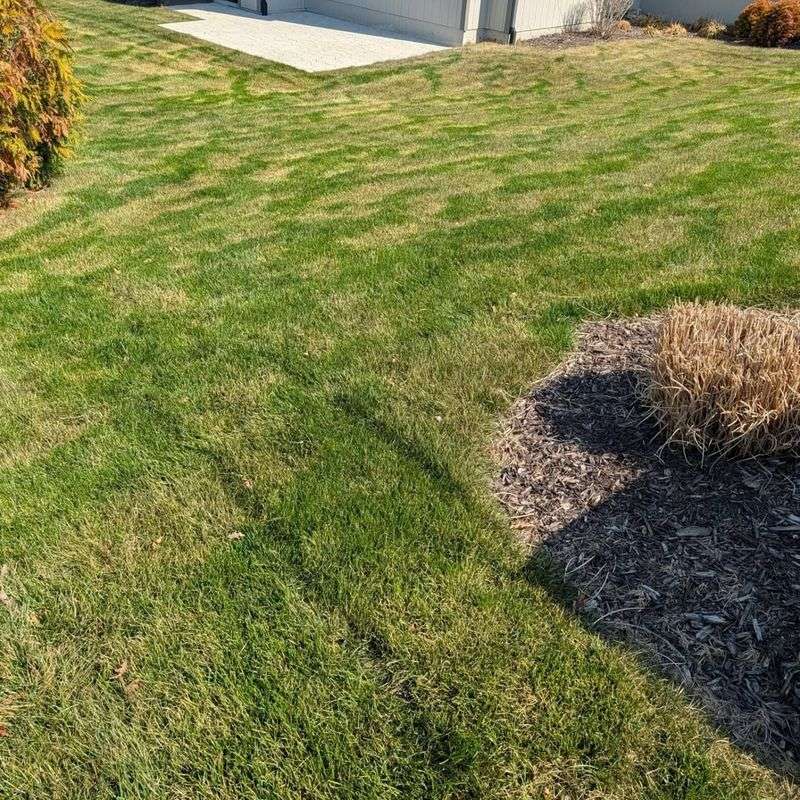 Late Cold Snaps Damage That Soft New Growth