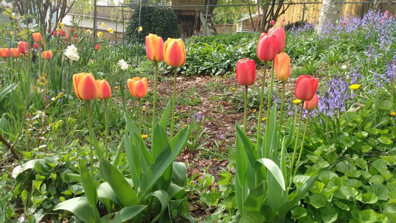 Timing Matters More Than Sunshine