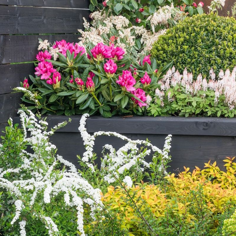 Waiting Too Long Can Cost You Flowers