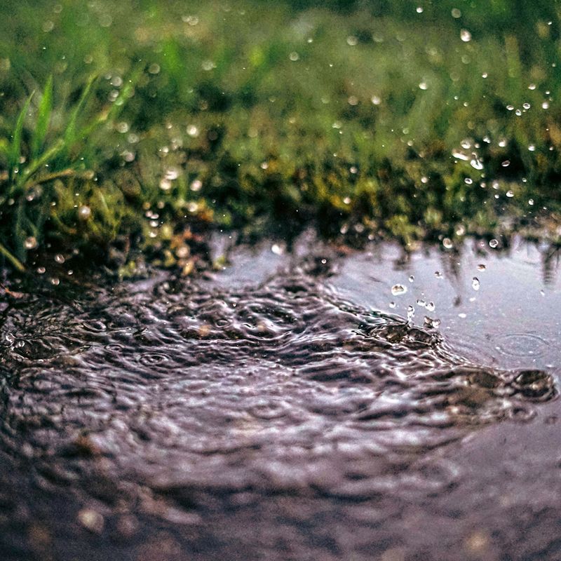 Soil Is Not Soggy After Rainfall