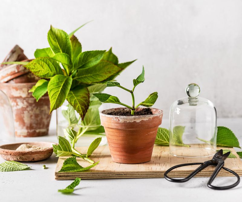 Outdoor Conditions Soon Match Indoor Growing Needs