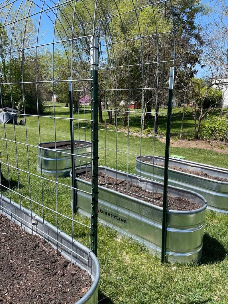 Cattle Panel Arch Trellis
