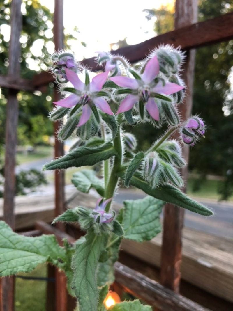 Handles Oregon's Climate Well