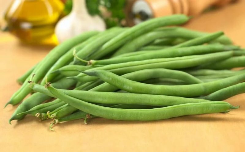Bush Beans For Quick Easy Picking
