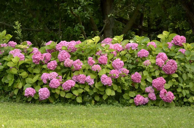 The Role Of Soil And Water Retention