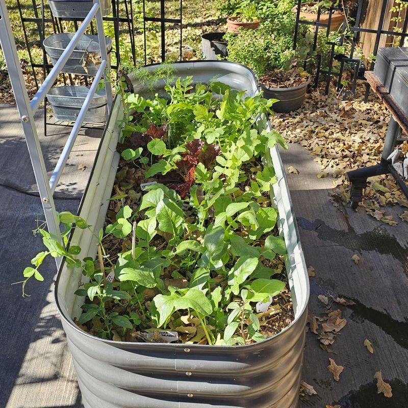 Dry Soil Conditions Increase Temperature More Quickly