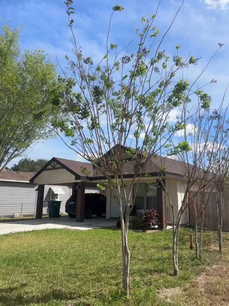 Waiting Until Dormant Season Supports Stronger Summer Blooms