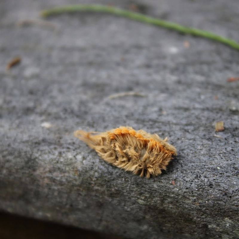 Skin May React With Redness And Irritation