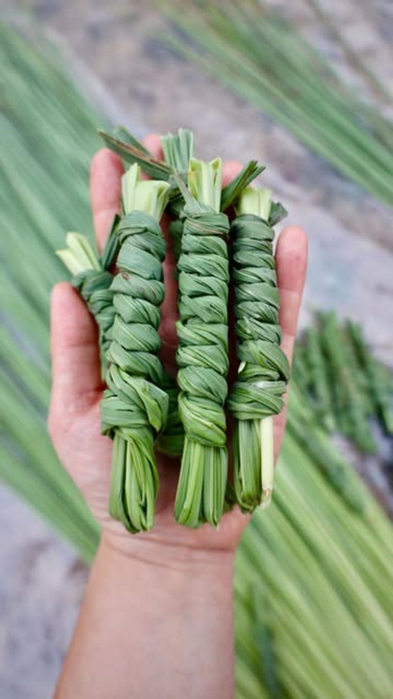 Easy To Propagate From Store-Bought Stalks