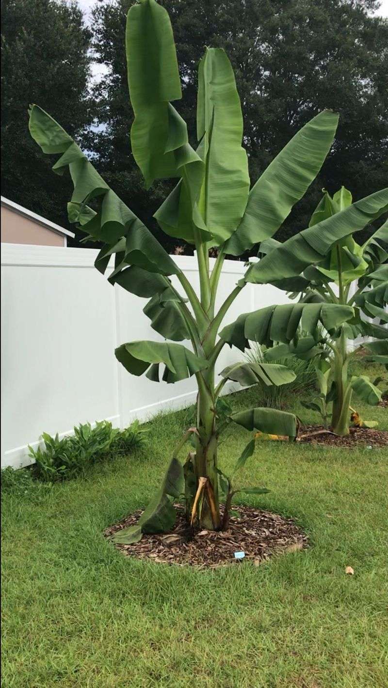 Check Soil Moisture As Temperatures Start Rising