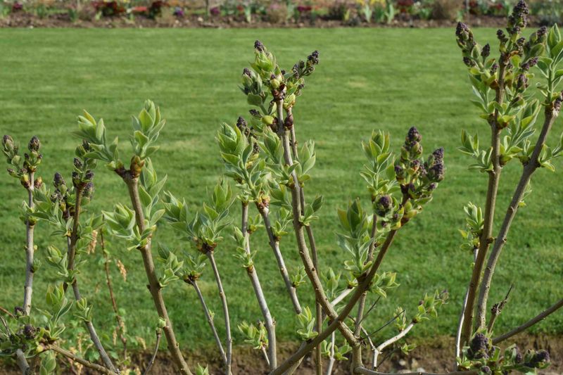 Don't Let A Warm Week Push You Too Far Ahead