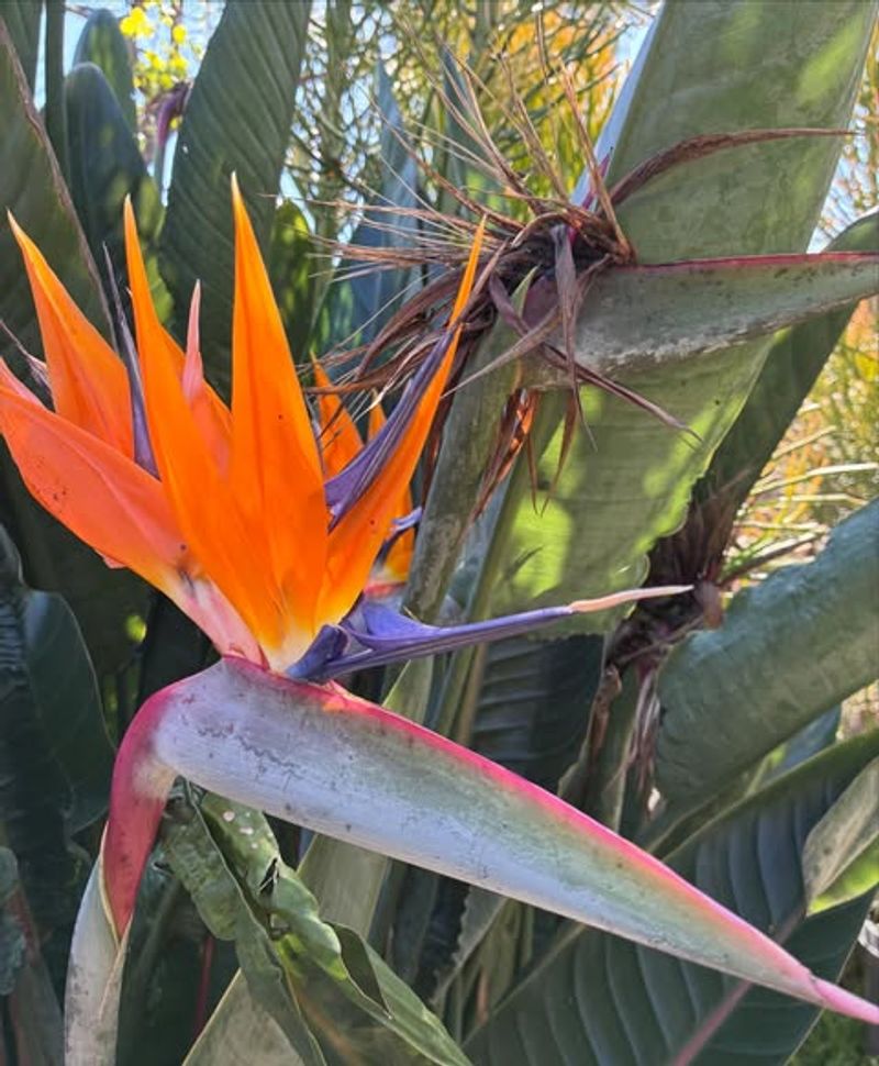 Adjust Watering As Temperatures Begin To Rise