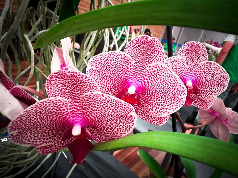 Keep Humidity In A Better Range