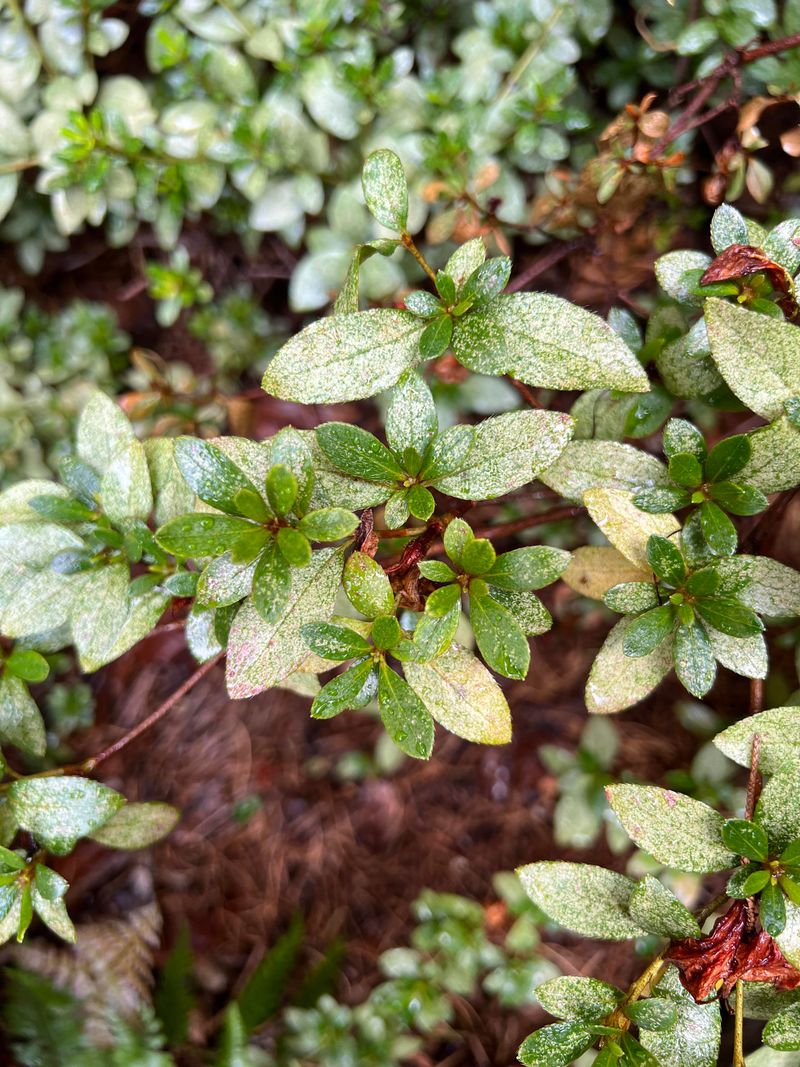 Small Stress Clues Start Showing Up Early