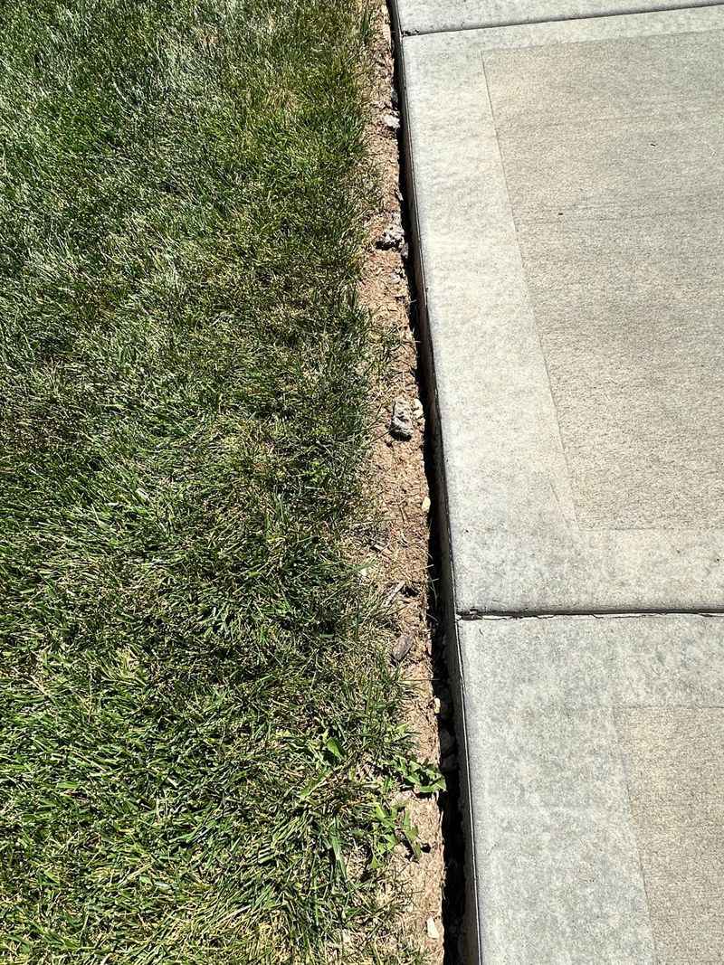 Spreading Fertilizer Onto Sidewalks And Driveways