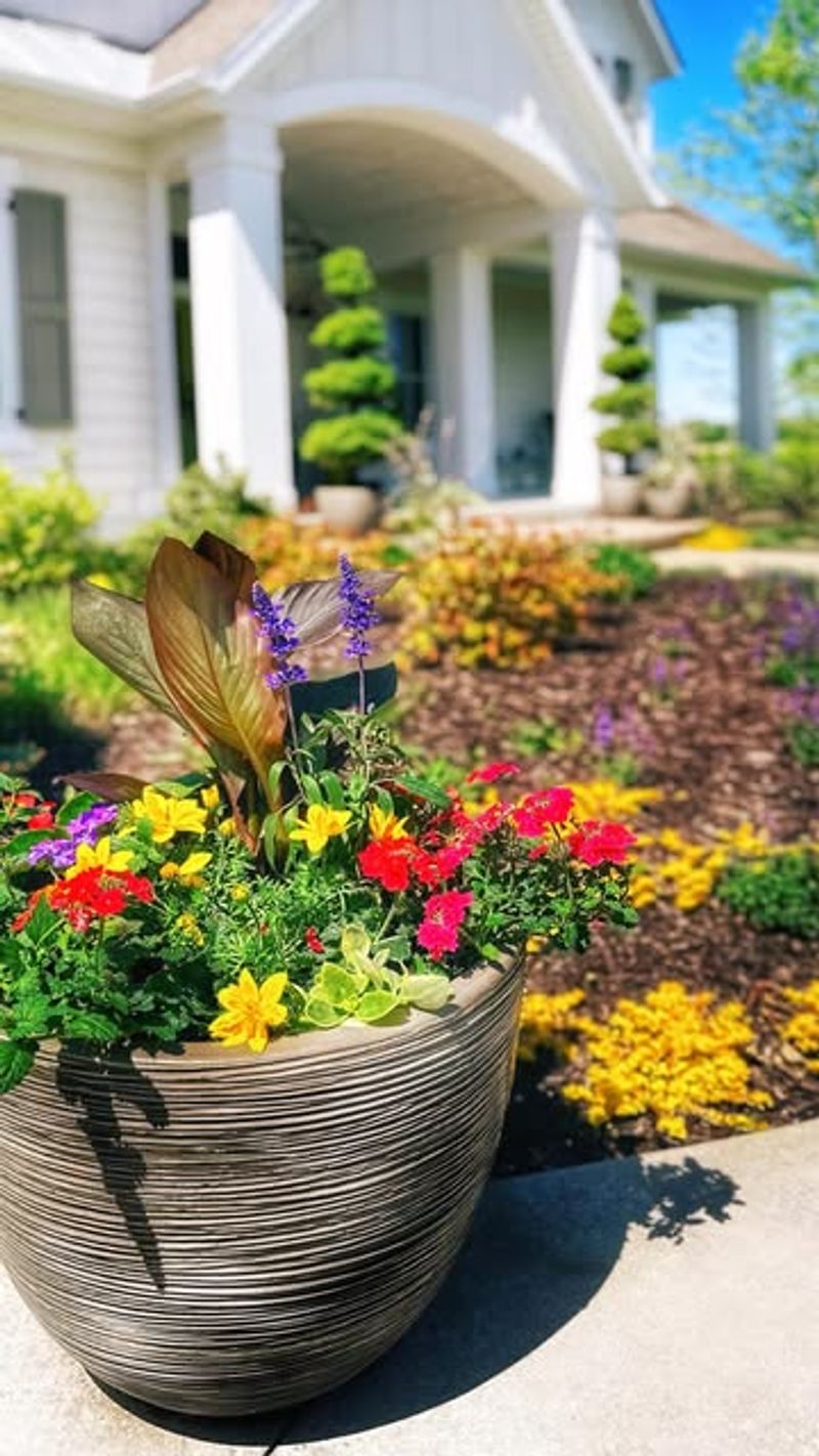 Plant Annual Flowers For Summer Color