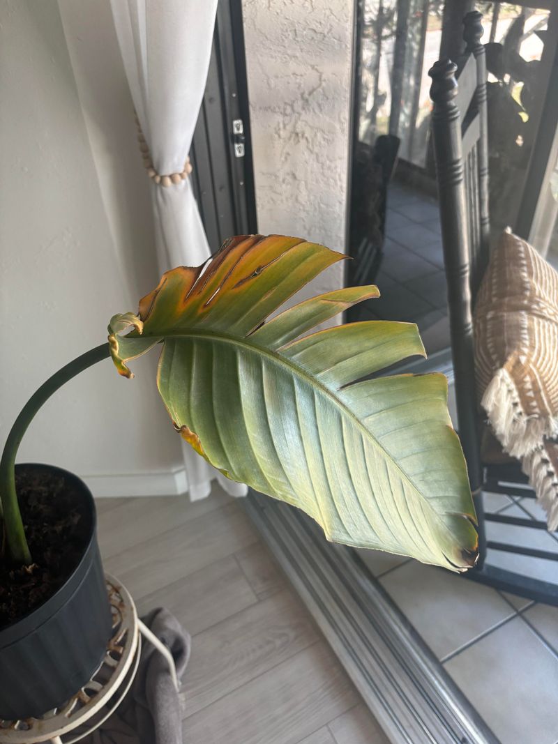 Improve Drainage After Heavy Rain