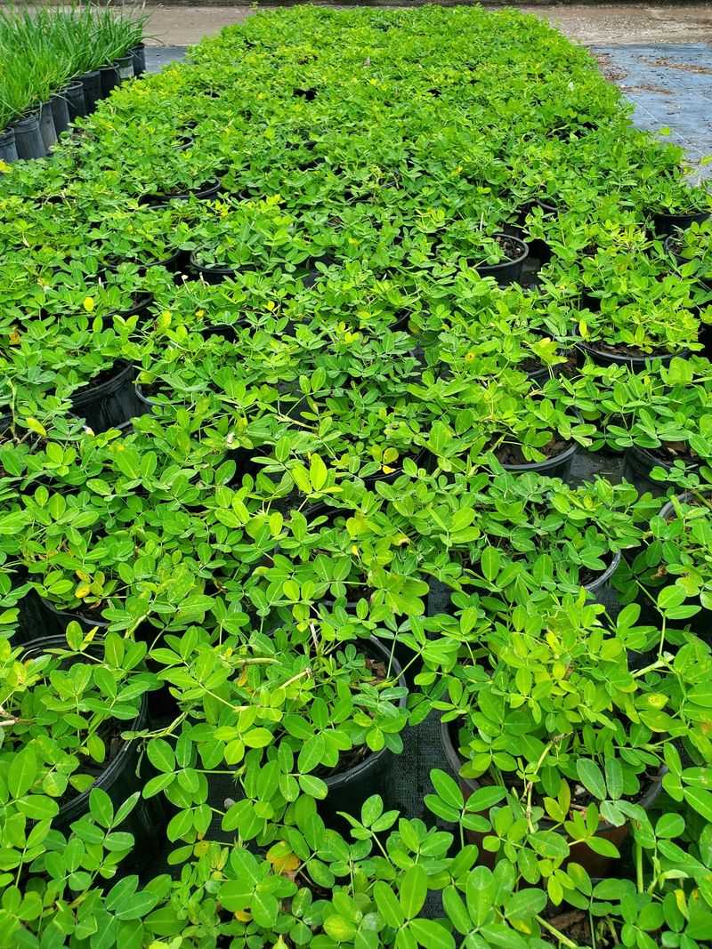 It Fills In Fast Without Turning Into A Maintenance Headache