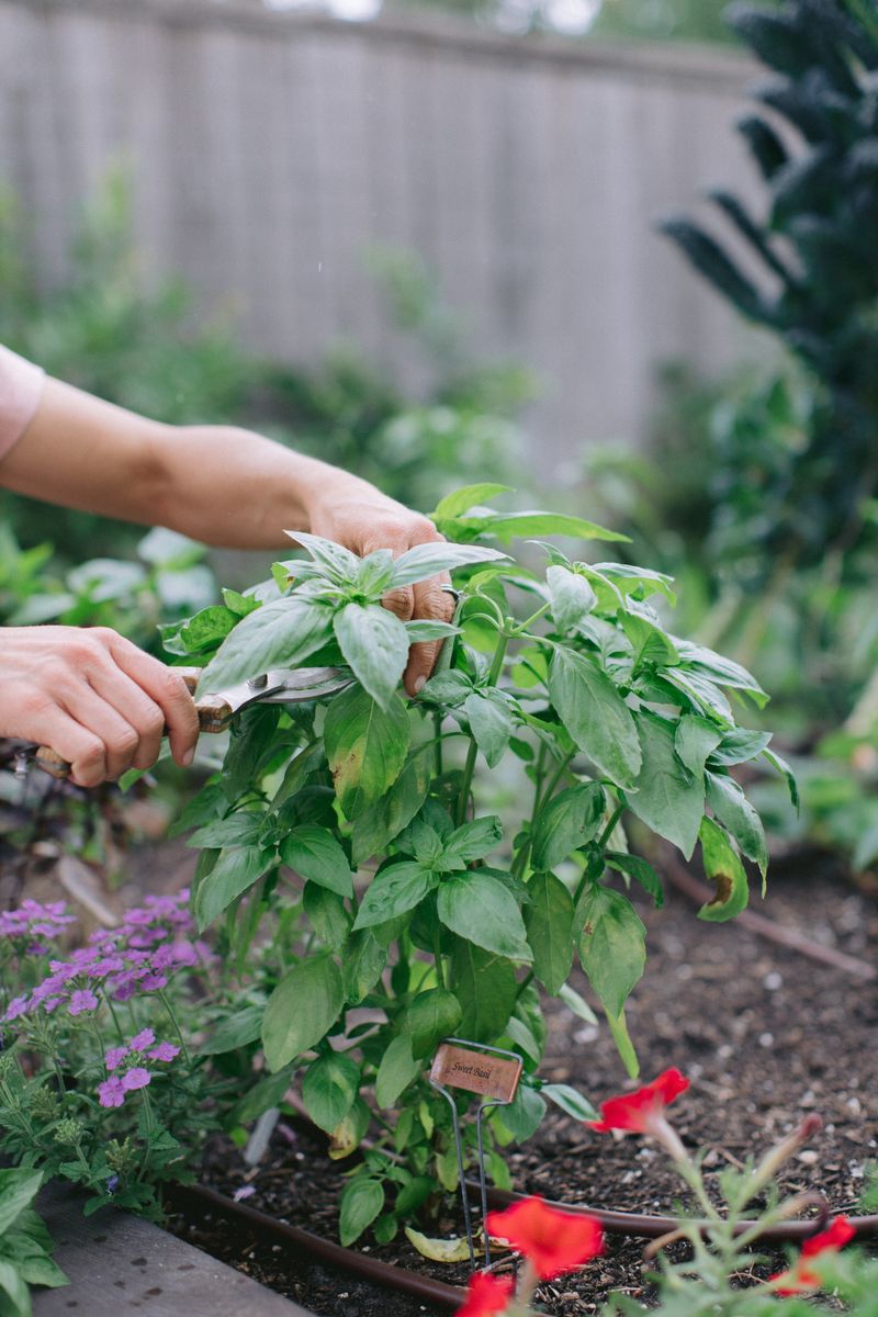 Keep The Center Open For Airflow