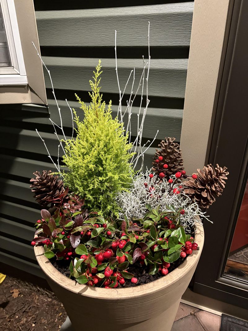 Match Plant Numbers To Container Size