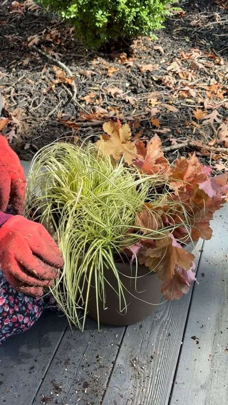 Adjust For Fast-Growing Summer Plants