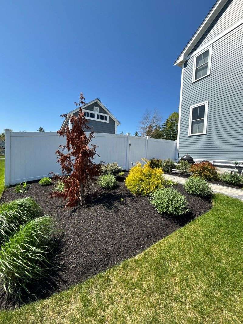 Skipping Mulch That Helps Hold Moisture