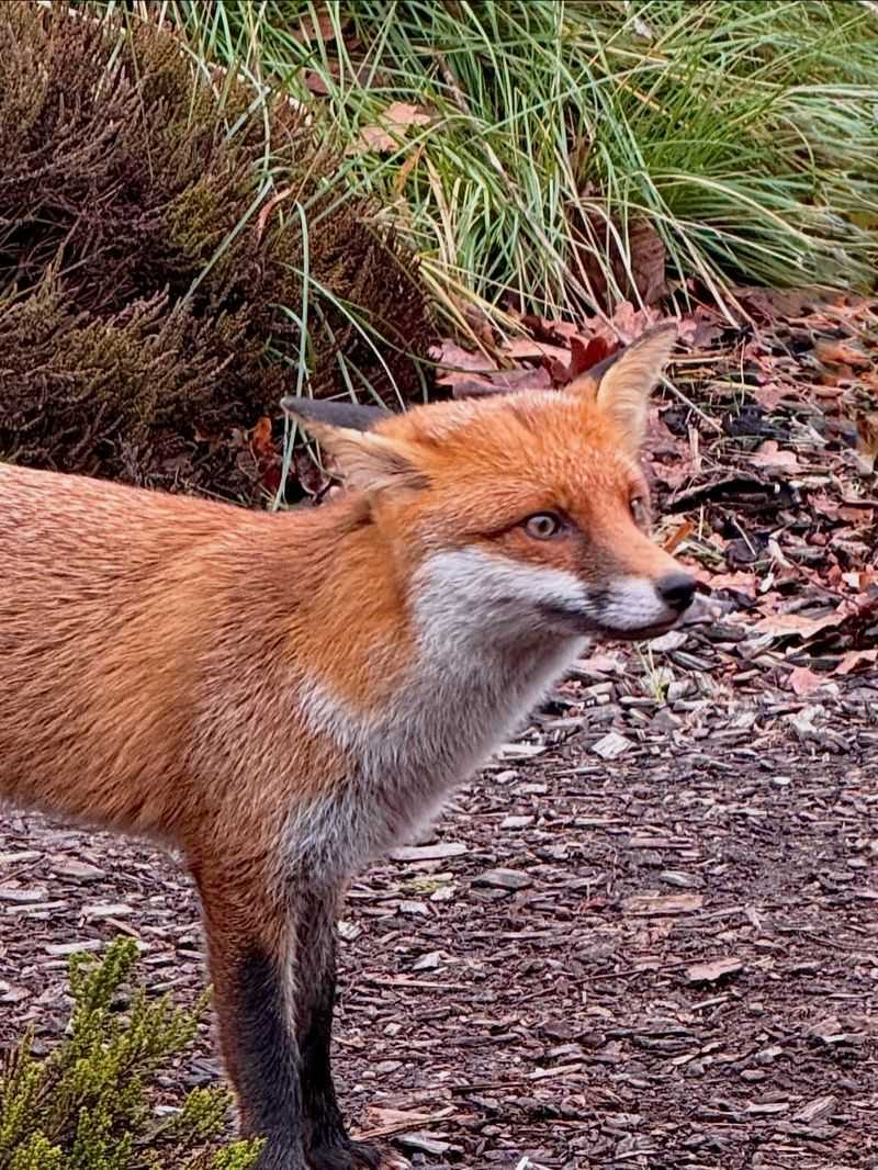 They Are Usually Just Passing Through