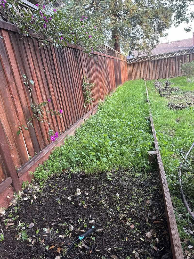 Weed Removal