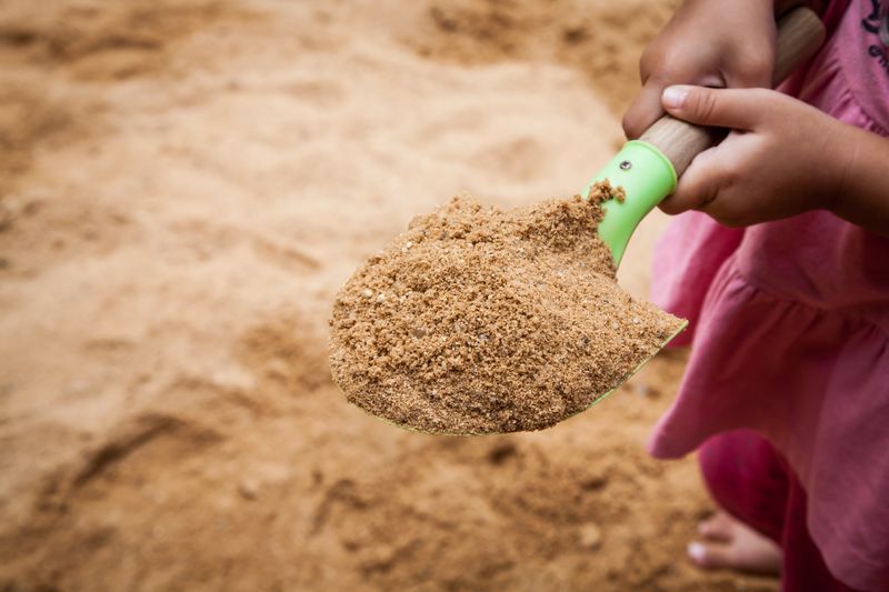 More Sand Does Nothing To Fix Sandy Soil