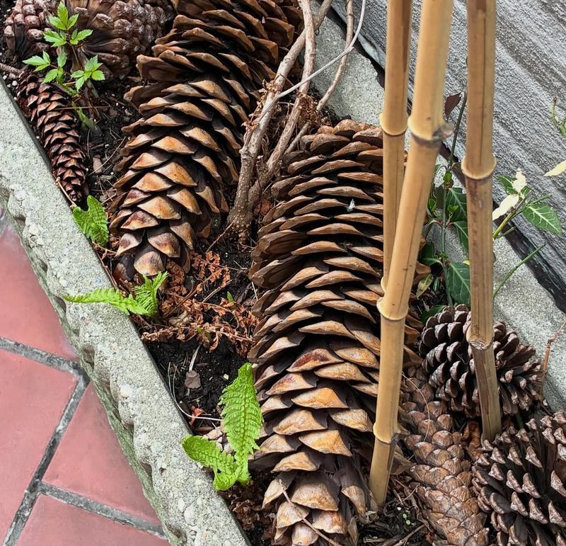 How Much Coverage You Need