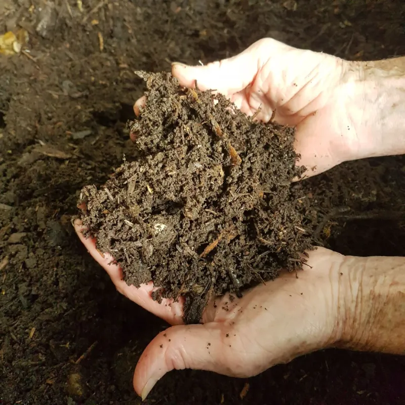 Unfinished Compost