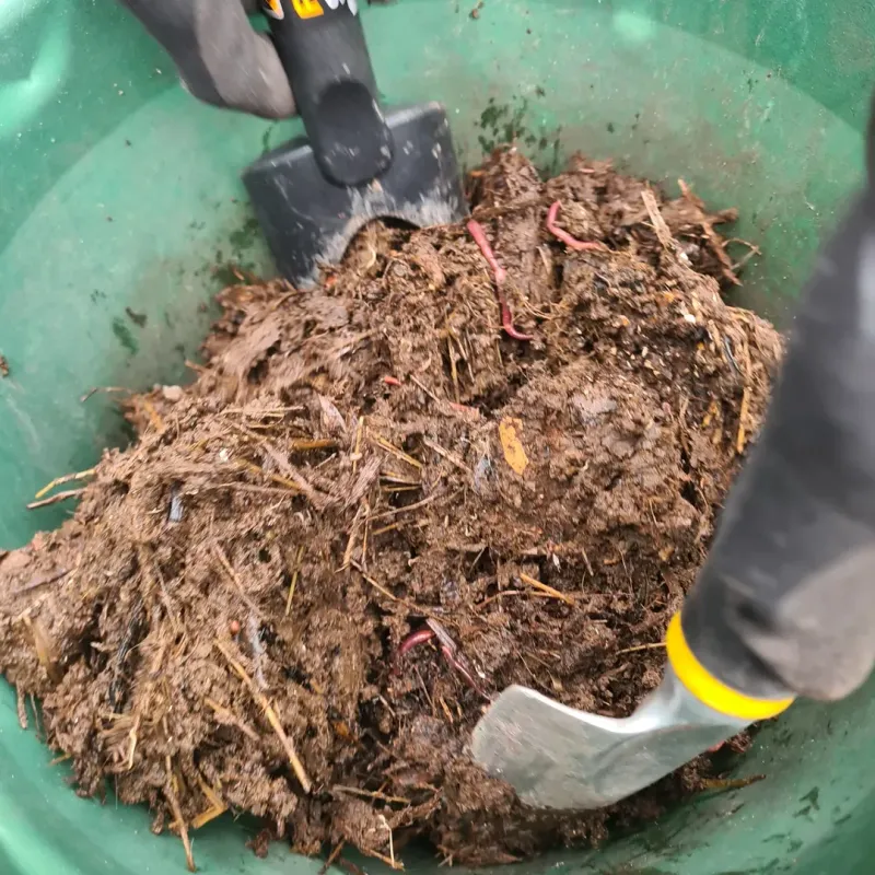 Unfinished Compost