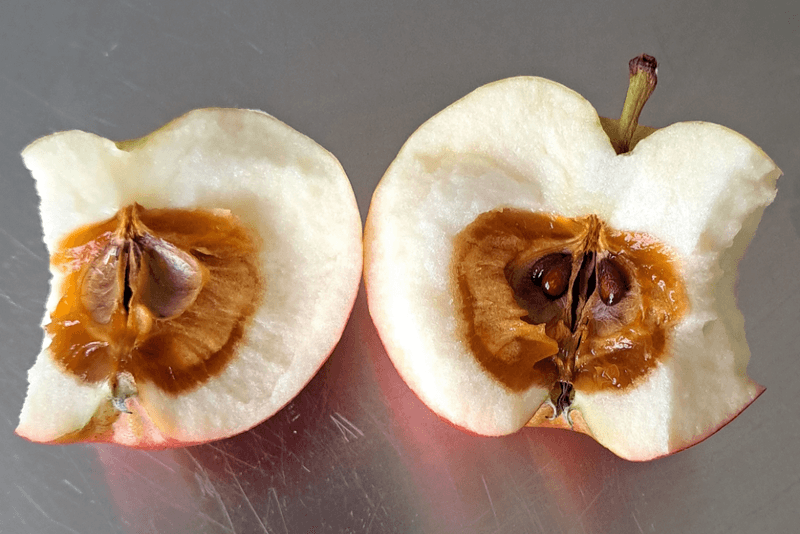 Fruit Cores Turn Waste Into Compost Power