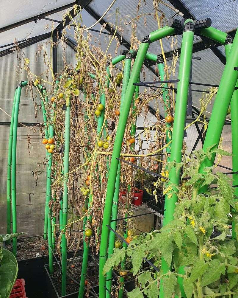 Areas With Poor Airflow