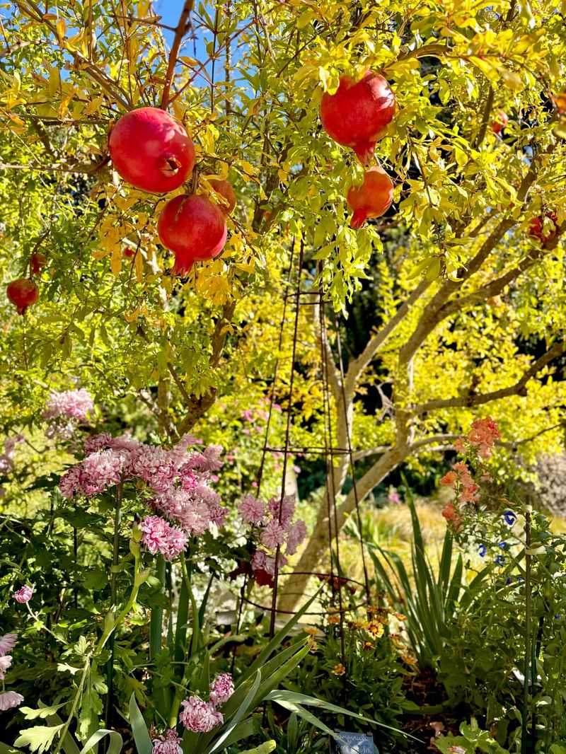 Mulch Helps Retain Moisture And Protect Roots