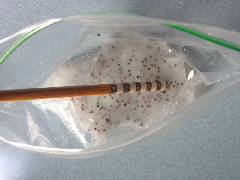 A Squeeze Bottle Or Spoon Makes Application Easy And Accurate