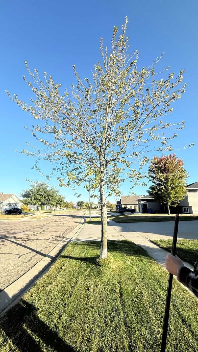 Early Warning Signs Often Go Unnoticed For Years