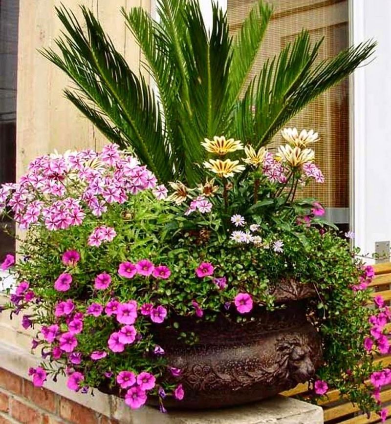 Protect Your Plant From Hard Freezes