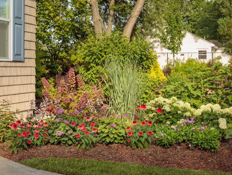 Feed Perennial Flower Beds After Spring Growth Begins