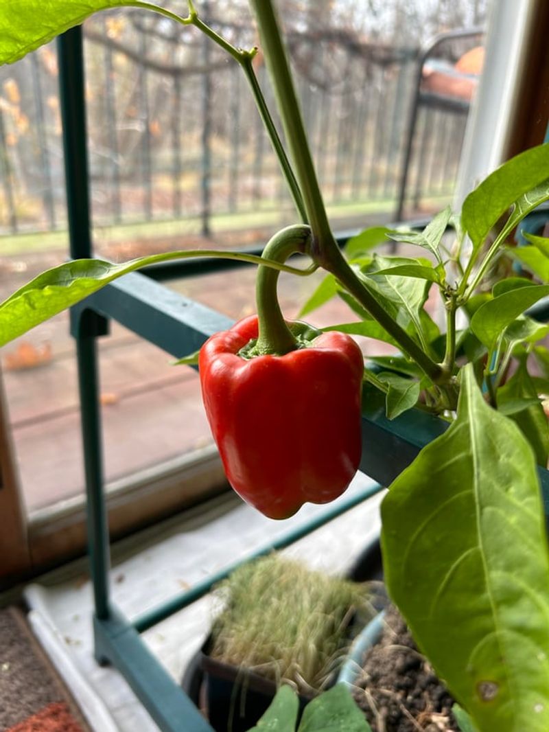 Keep Temperatures Warm