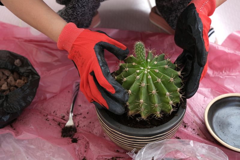 Avoid Handling Damage That Increases Sunburn Risk