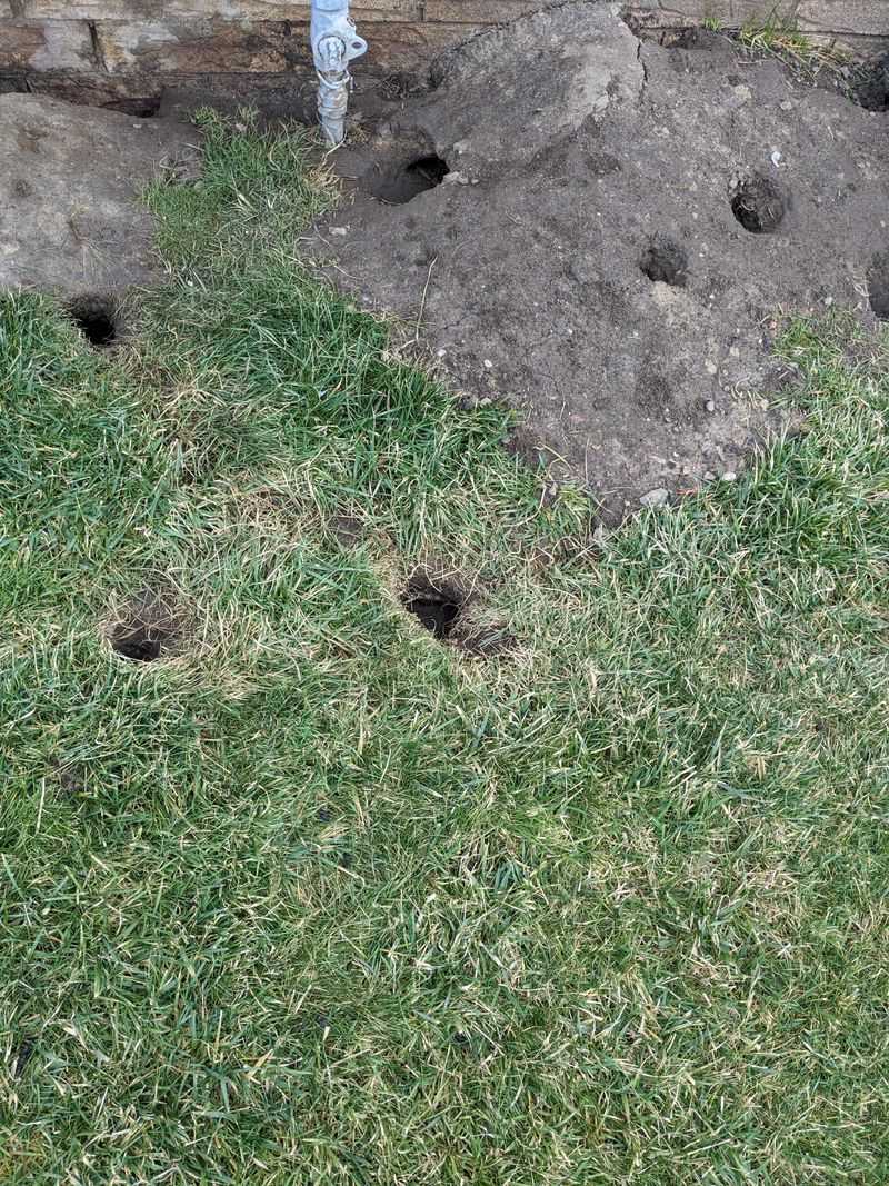 Why These Holes Appear In Clusters