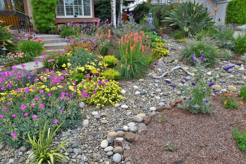 Cut Back Thirsty Lawn Areas