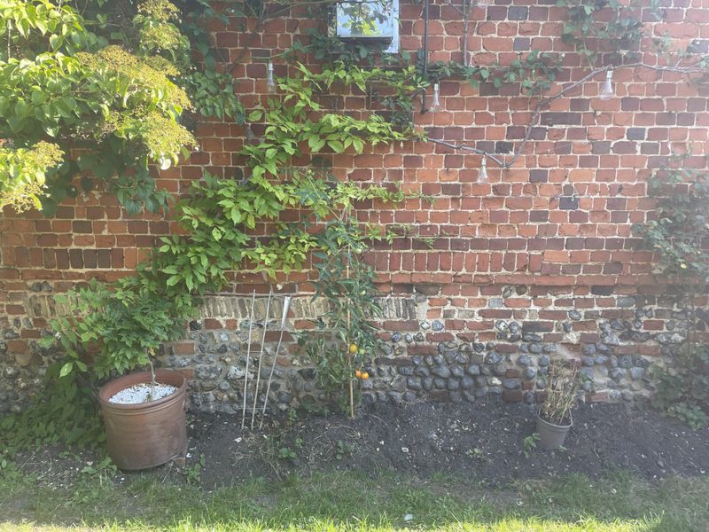 Skipping Early Training Leads To Tangled, Unmanageable Growth