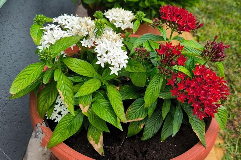 How Gardeners Keep It Going Year After Year