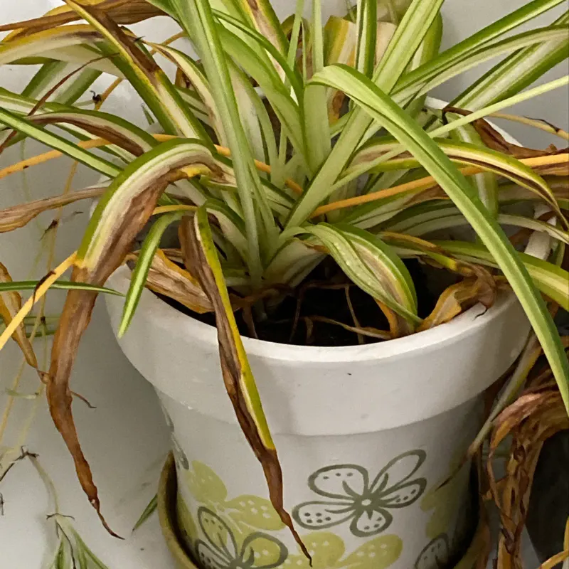 Poor Drainage Creates Hidden Trouble