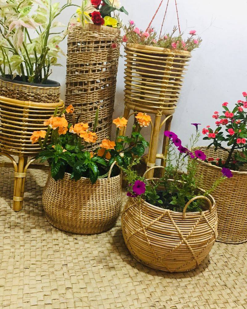 Baskets Double As Stylish Plant Pot Covers
