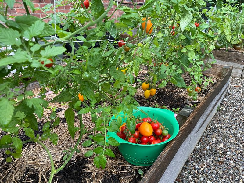 Ohio Humidity Makes Moisture Swings More Intense