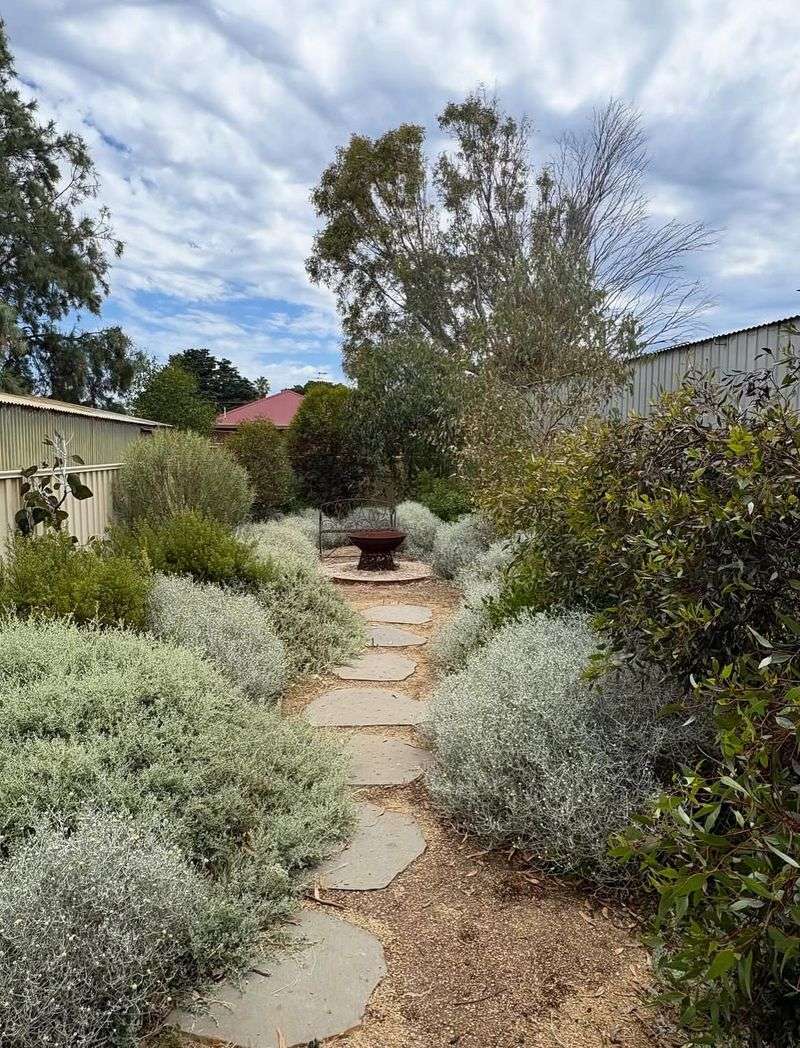 Too Little Sun Keeps Coastal Gardens Cooler For Longer